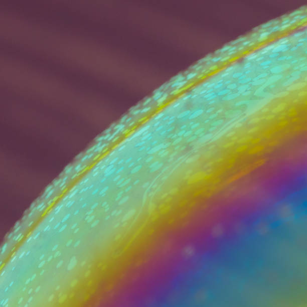 istock Soap bubble macro closeup photography blurred movement 1216201522