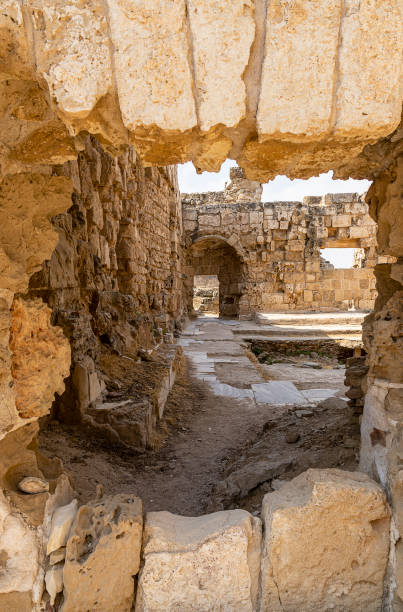istock Ancient Ruins of Salamis - Cyprus 1216204848