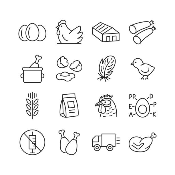 Poultry farm icon set. Editable stroke. Vector illustration. Poultry farm icon set. Chiken, egg, feather, sausage, truck, forage line symbols. Editable stroke. Vector illustration. feeding baby chicken stock illustrations