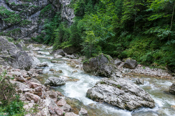 istock Mountain forest stream with fast flowing water and rocks, long exposure. 1216208544