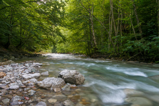 istock Mountain forest stream with fast flowing water and rocks, long exposure. 1216208569