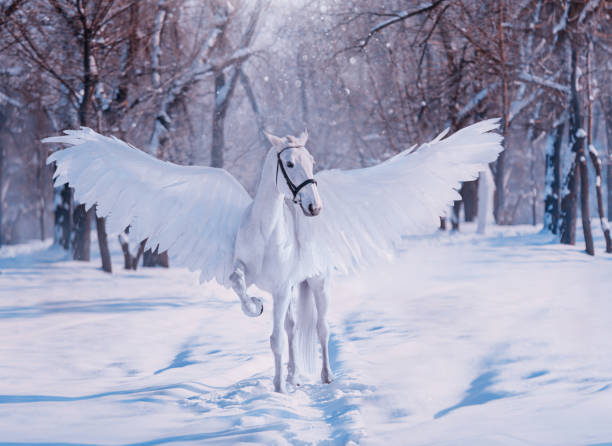 fantasy göttliche sonnenlicht fabelhafte mythische pegasus. weiße schöne kreative vögel flügel. tier steht auf der kulisse winter verschneiten wald. märchen weihnachten. fotografie tapete. kunst kostüm pferd - pegasus stock-fotos und bilder