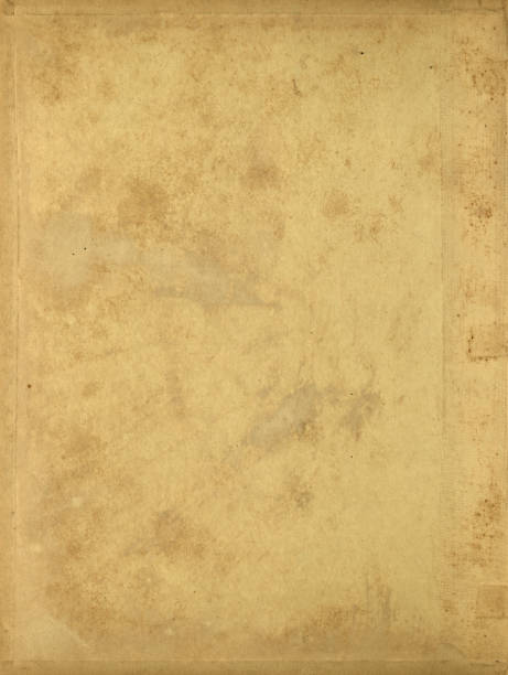 istock Vintage brown paper background texture 1216210277