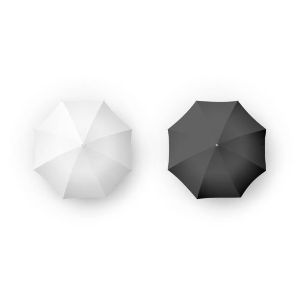 istock Black and white umbrella and parasols realistic isolated on white. Design template of opened parasols for mock-up. EPS 10 1216212793