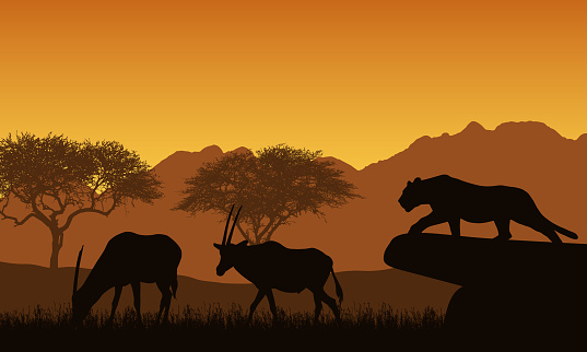 Illustration of African landscape and safari. A lioness or leopard hunts two antelopes. Orange sky with mountains and tropical trees - vector