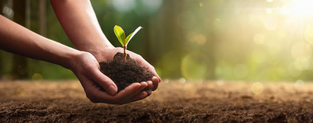 istock Care of the Environment. Ecology concept 1216216151