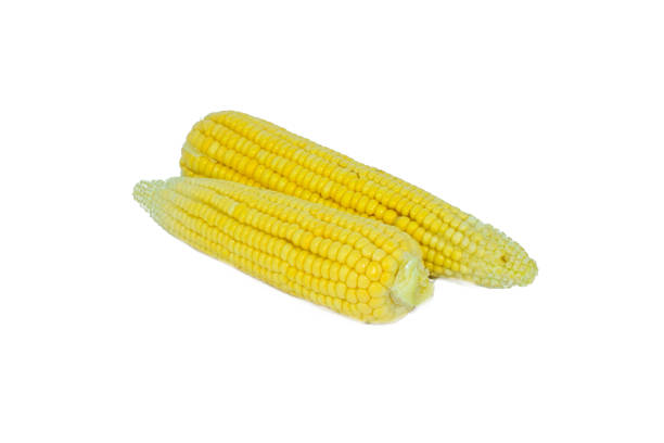istock Top view of two yellow colored sweet corn isolated on an empty white background 1216217549