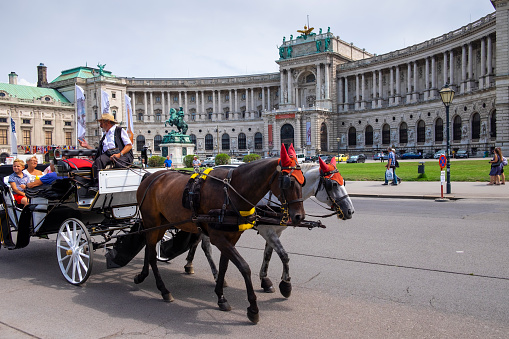 A horse-drawn carriage with tourists passes close to the Hofburg, the Imperial Palace in Vienna.