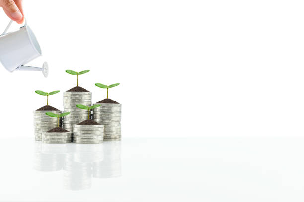 istock Saving money for a sustainable growth, financial concept 1216218312