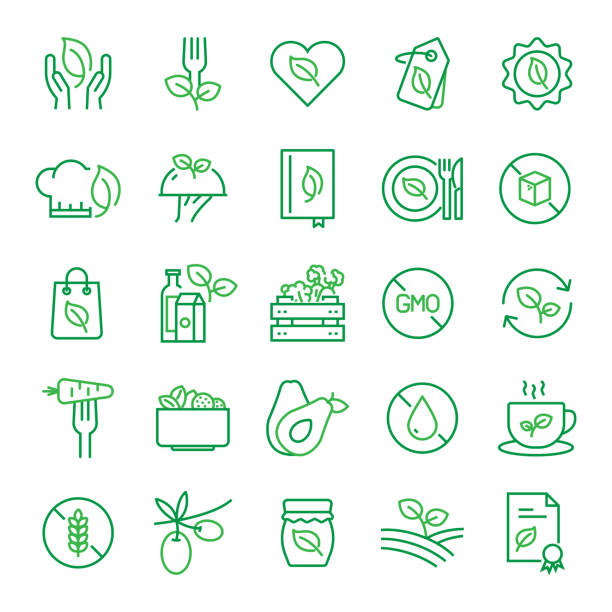 kuvapankkikuvitukset aiheesta joukko orgaanisia elintarvikkeita ja tuotteisiin liittyviä rivikuvakkeita. muokattava lyönti. yksinkertaiset jäsennyskuvakkeet. - oman sadon tuote