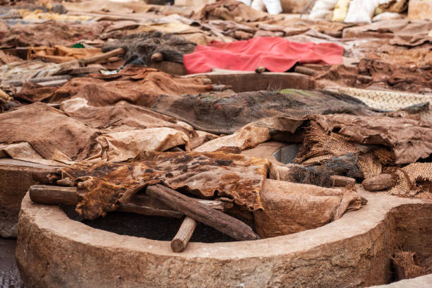 istock Skins of animals in a tannery, Marrakesh, Morocco 1216219802