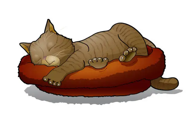 Vector illustration of Napping cat
