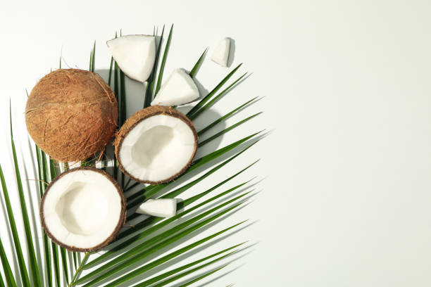 istock Coconut and palm branch on white background, top view 1216222419
