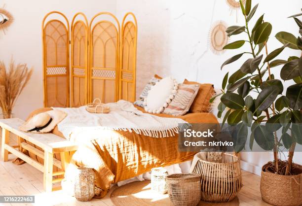 Ficus Elastica Plant In Boho Bedroom Interior Stock Photo - Download Image Now