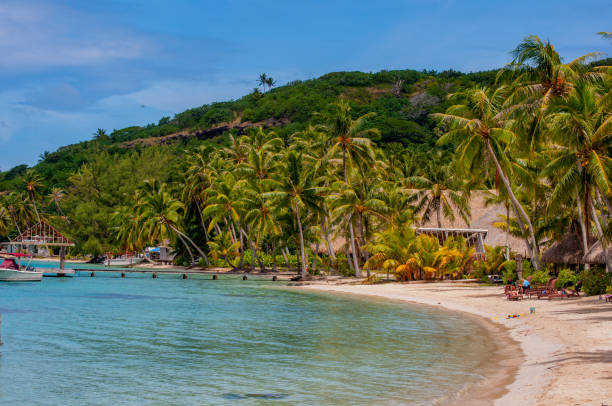 istock tropical beach during summer with golden sands and blue waters 1216223328
