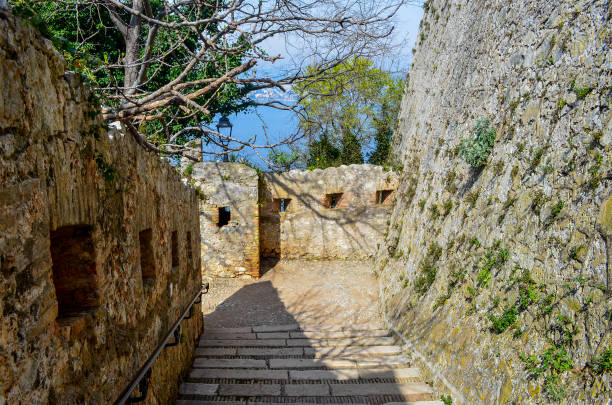 istock trees and pathways with old bricks in the woods 1216223387