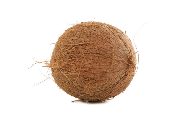istock Whole coconut isolated on white background. Tropical fruit 1216223640