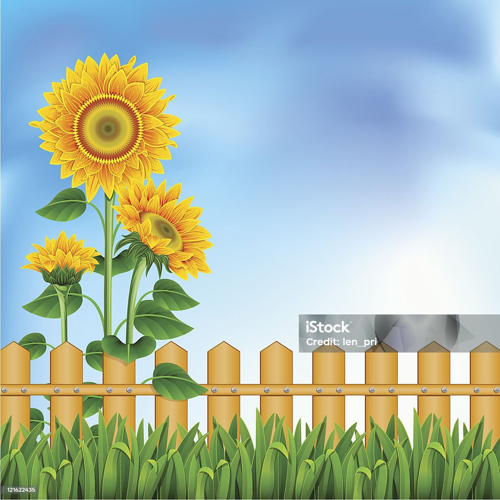 Fondo con sunflowers. La malla. - arte vectorial de Azul libre de derechos