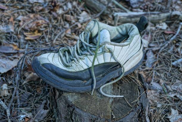 istock one old gray leather sneaker stands on a stump 1216227288