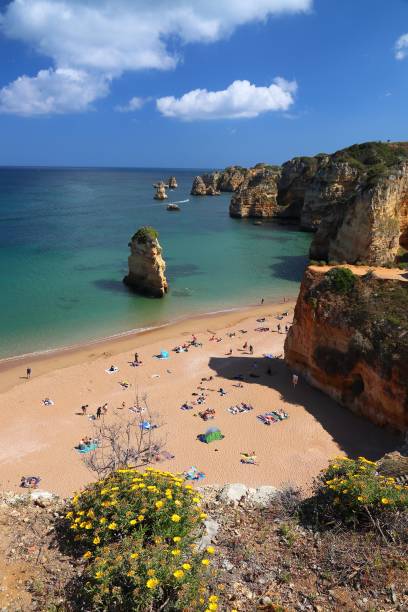 istock Portugal nature 1216228414
