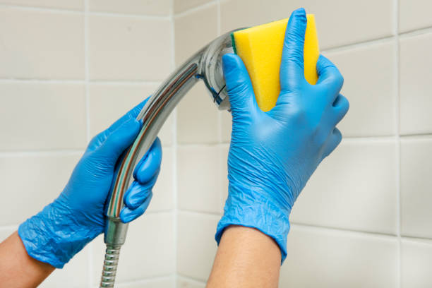 istock Cleaning bath shower at home 1216229809