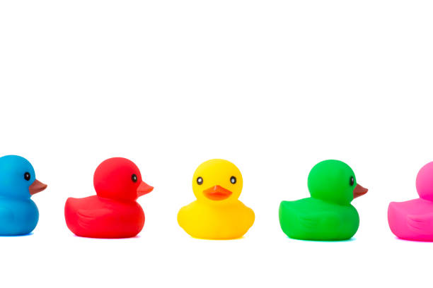 a row of rubber ducks on a white background. bright colored rubber ducks in a line. rubber ducks in a row isolated on a white background. - duck toy imagens e fotografias de stock