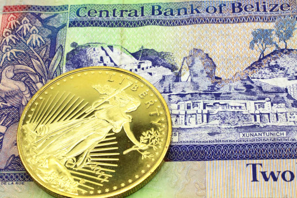 kolorowy dwudolarowy banknot od belize ze złotą monetą w makro - out numbered zdjęcia i obrazy z banku zdjęć