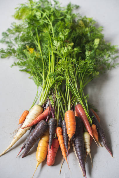 istock Multicolored home grown fresh organic carrots with green leaves 1216233324