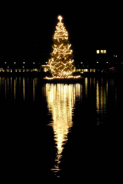 istock Christmas tree in Hamburg 1216237544