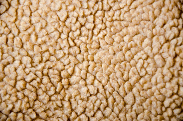 istock Background natural wool beige closeup 1216240409