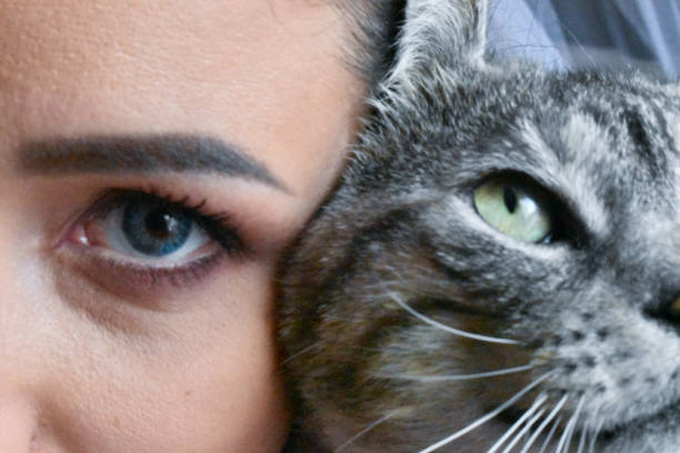 istock Woman eye and a cat eye 1216240921