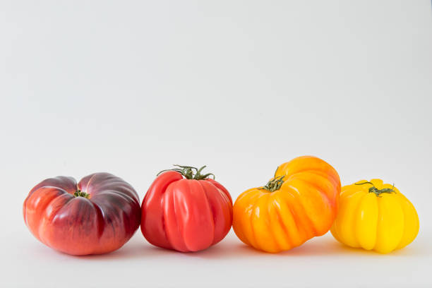 coloridos tomates de reliquia sobre un fondo blanco - heirloom tomato tomato vegetable fruit fotografías e imágenes de stock