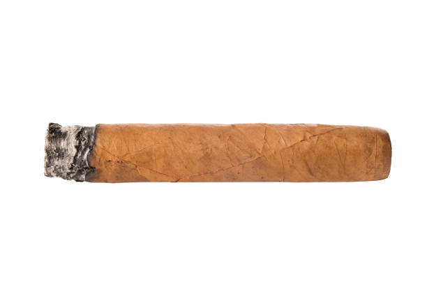 burnt cigar isolated on white background. close-up - charuto imagens e fotografias de stock