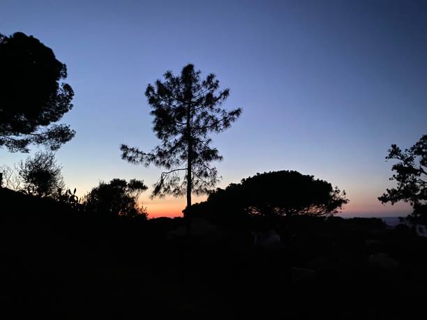 istock Sunset by the Corsican sea 1216242107