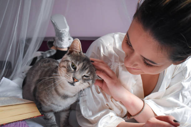 istock Woman indoor petting a cat 1216244102