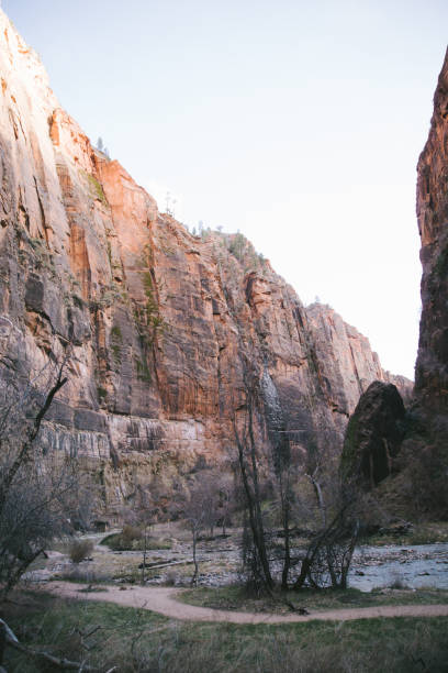 istock Zion National Park Natural Landscape 1216247124