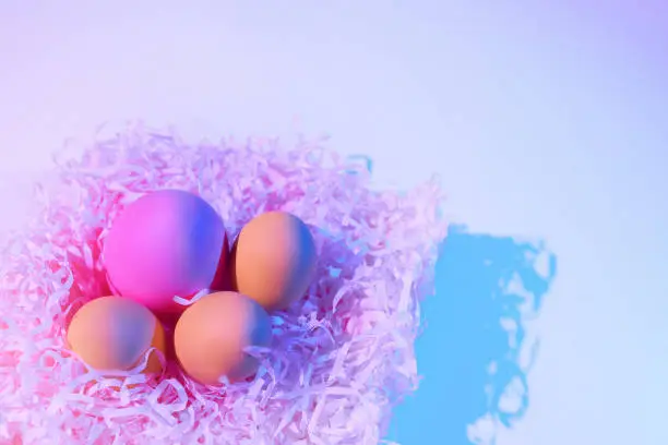 Easter eggs in neon light for design decoration. view top