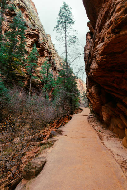 istock Zion National Park Natural Landscape 1216247424