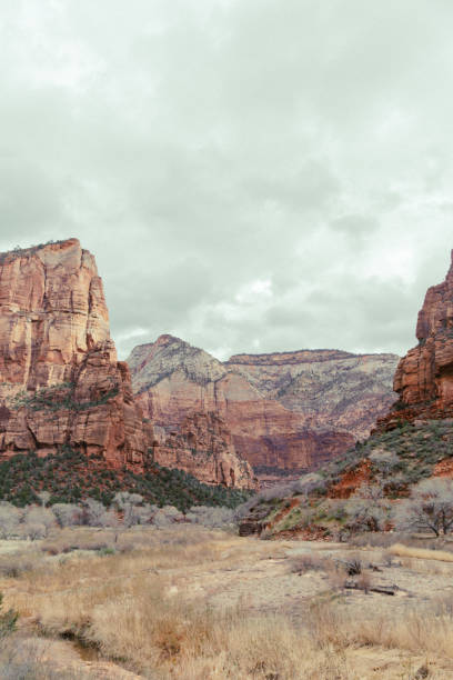 istock Zion National Park Natural Landscape 1216248560