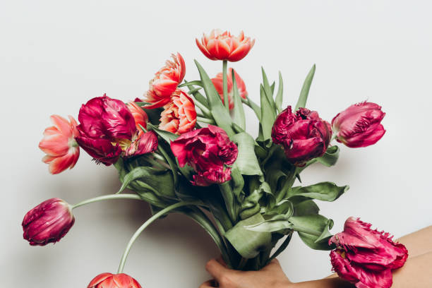istock Bunch of Peony and Parrot Style Tulips 1216248861