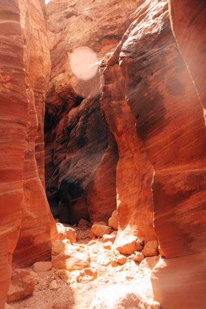 istock Beautiful Curves in Slot Canyon 1216249067