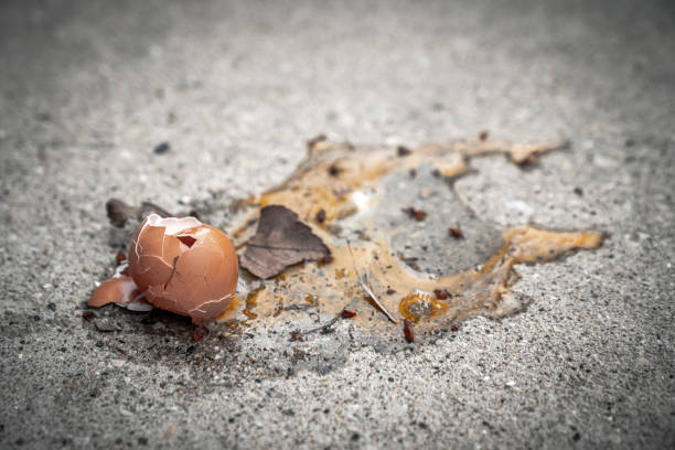 A closeup dropped broken brown egg shell and yoke splashed or splattered all over the sidewalk and left on concrete with dirt and leaves during the COVID-19 or coronavirus outbreak lockdown in Chicago