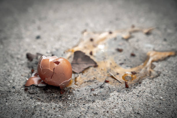 istock A closeup dropped broken brown egg shell and yoke splashed or splattered all over the sidewalk and left on concrete with dirt and leaves during the COVID-19 or coronavirus outbreak lockdown in Chicago 1216251232