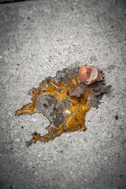 A closeup dropped broken brown egg shell and yoke splashed or splattered all over the sidewalk and left on concrete with dirt and leaves during the COVID-19 or coronavirus outbreak lockdown in Chicago