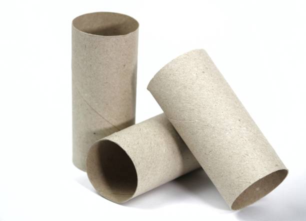 istock Empty toilet paper roll on white background 1216252262