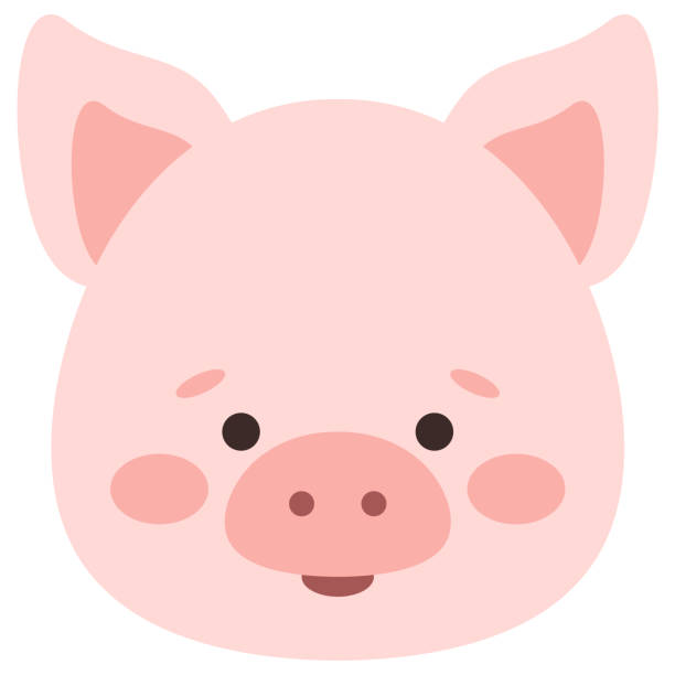 Pig Snout Illustrations, Royalty-Free Vector Graphics & Clip Art - iStock