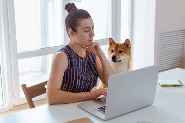 istock Young woman using laptop during COVID-19. Self-isolation and working from home concept. 1216255731