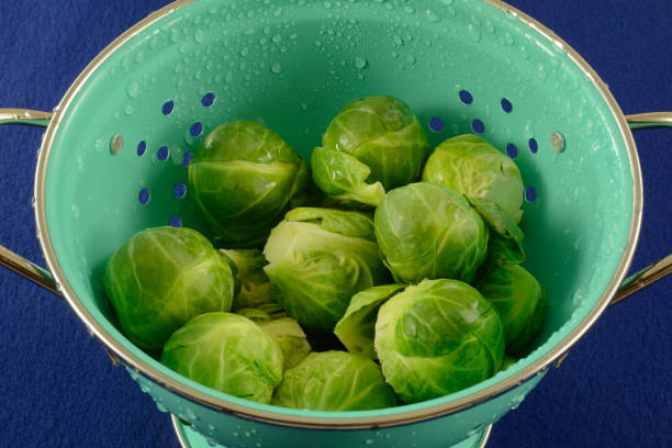 Freshly rinsed raw fresh brussel sprouts in blue colander on blue background