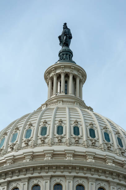 istock cherry blossoms in washington dc capitol hill 1216258069