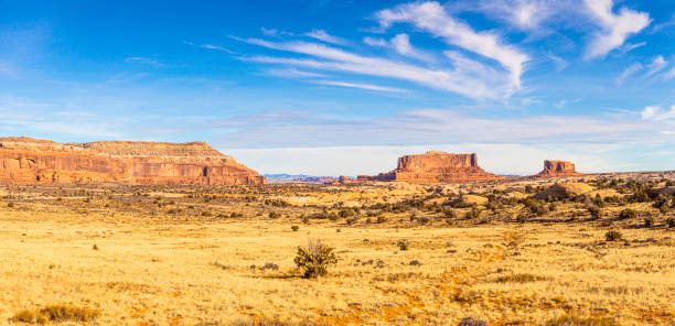 istock View on typical rock formations in Conyonlands National Park in Utah in winter 1216259259